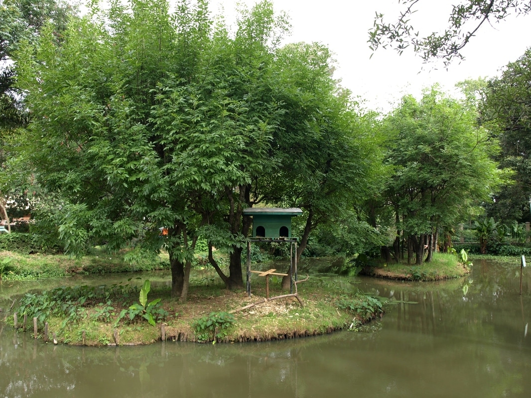 Parc de Tsimbazaza