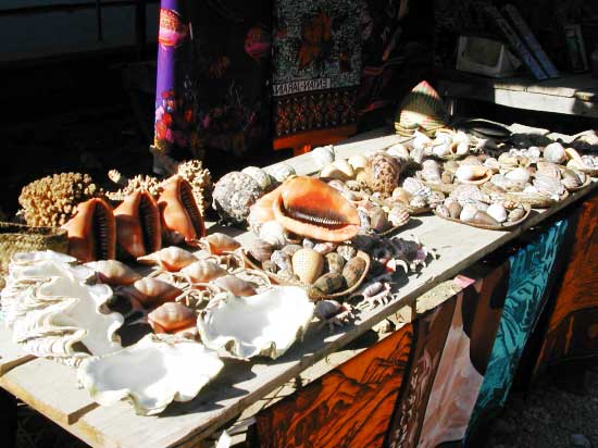 Marché aux Coquillages