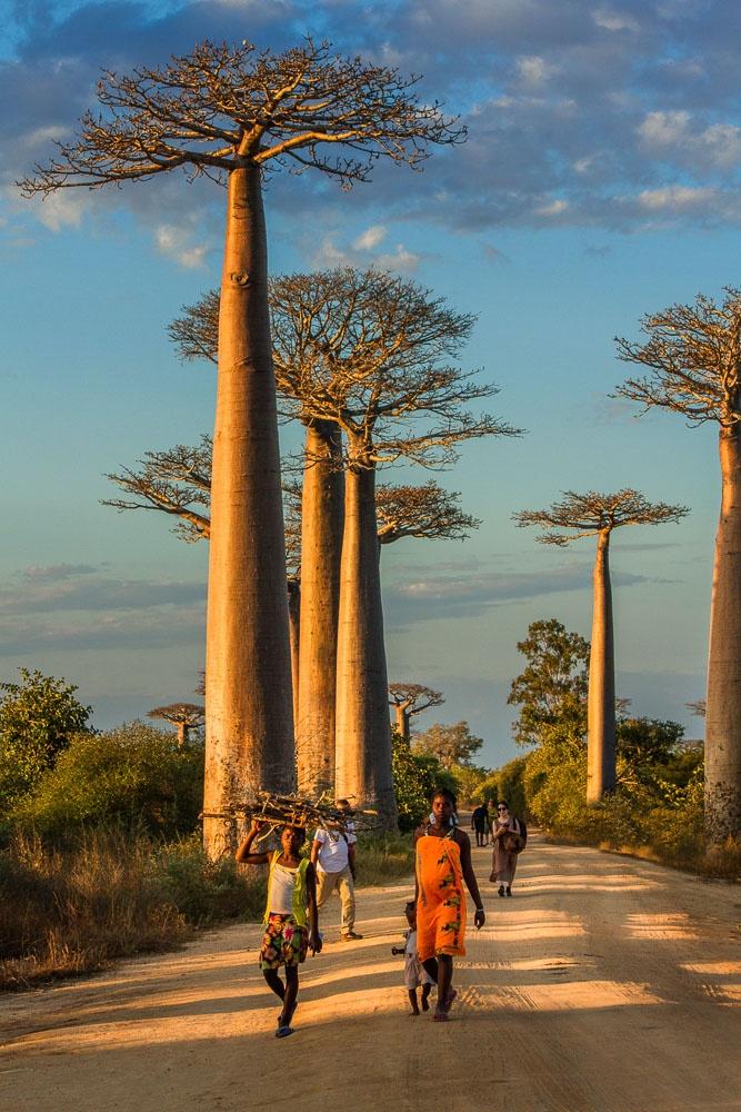 Morondava